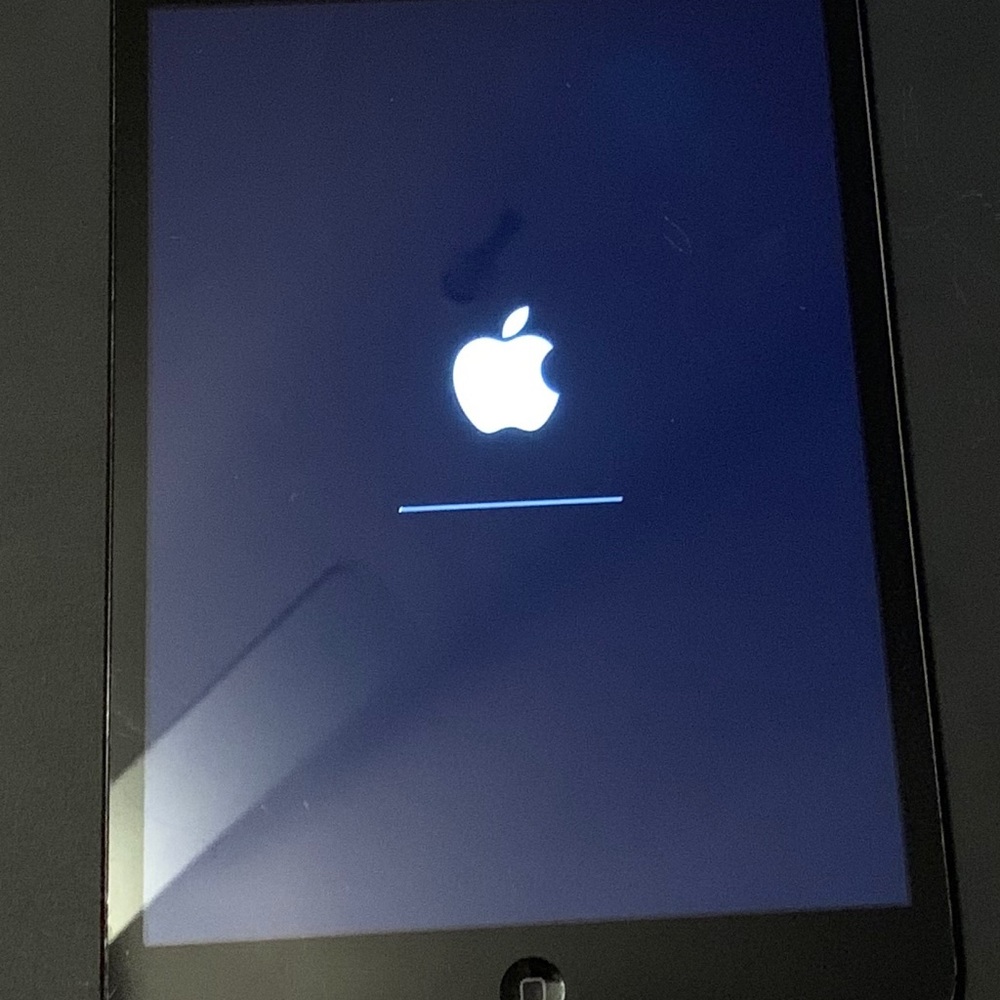 iPad Mini- 16 GB